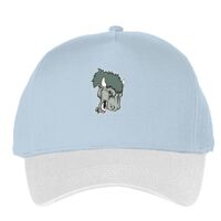 Classic 5-panel snapback (6007) Vignette