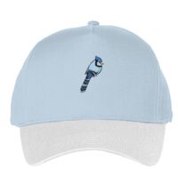 Classic 5-panel snapback (6007) Vignette