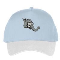 Classic 5-panel snapback (6007) Vignette