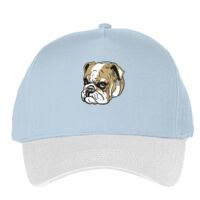 Classic 5-panel snapback (6007) Vignette