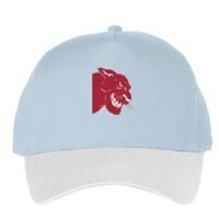 Classic 5-panel snapback (6007) Vignette