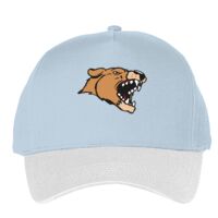 Classic 5-panel snapback (6007) Vignette