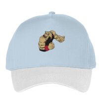 Classic 5-panel snapback (6007) Vignette