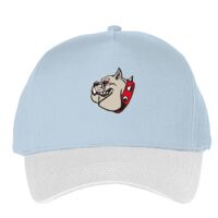 Classic 5-panel snapback (6007) Vignette