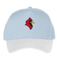 Classic 5-panel snapback (6007) Vignette