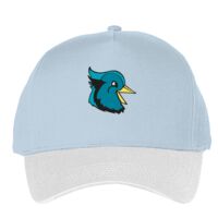 Classic 5-panel snapback (6007) Vignette