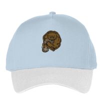 Classic 5-panel snapback (6007) Vignette