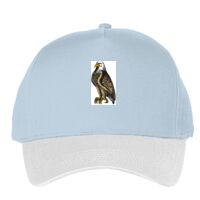 Classic 5-panel snapback (6007) Vignette