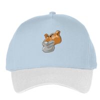 Classic 5-panel snapback (6007) Vignette