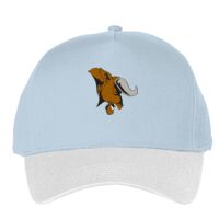 Classic 5-panel snapback (6007) Vignette