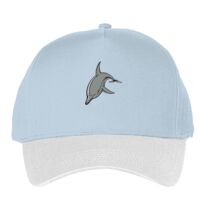 Classic 5-panel snapback (6007) Vignette