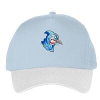 Classic 5-panel snapback (6007) Vignette