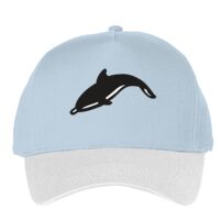 Classic 5-panel snapback (6007) Vignette