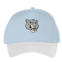 Classic 5-panel snapback (6007) Vignette