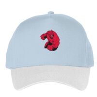 Classic 5-panel snapback (6007) Vignette