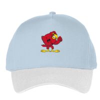 Classic 5-panel snapback (6007) Vignette