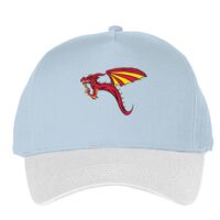 Classic 5-panel snapback (6007) Vignette