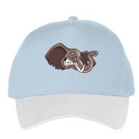 Classic 5-panel snapback (6007) Vignette