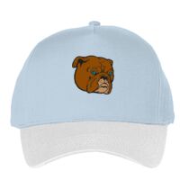 Classic 5-panel snapback (6007) Vignette