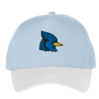 Classic 5-panel snapback (6007) Vignette