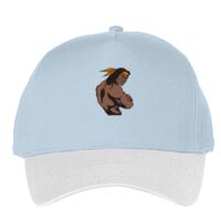 Classic 5-panel snapback (6007) Vignette