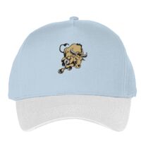 Classic 5-panel snapback (6007) Vignette