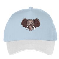 Classic 5-panel snapback (6007) Vignette