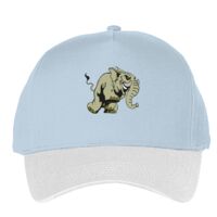 Classic 5-panel snapback (6007) Vignette
