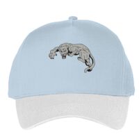 Classic 5-panel snapback (6007) Vignette