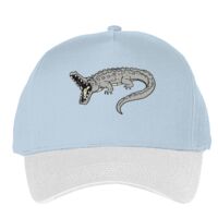 Classic 5-panel snapback (6007) Vignette