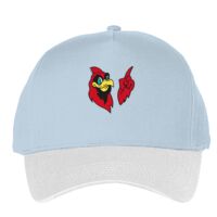 Classic 5-panel snapback (6007) Vignette