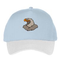 Classic 5-panel snapback (6007) Vignette