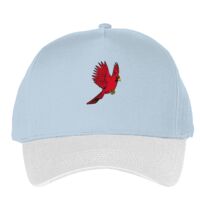 Classic 5-panel snapback (6007) Vignette