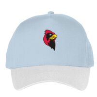 Classic 5-panel snapback (6007) Vignette