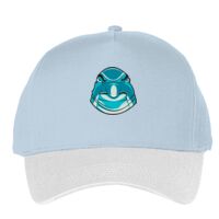 Classic 5-panel snapback (6007) Vignette