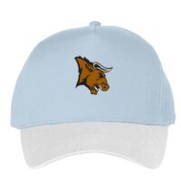 Classic 5-panel snapback (6007) Vignette