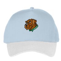 Classic 5-panel snapback (6007) Vignette