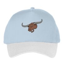 Classic 5-panel snapback (6007) Vignette