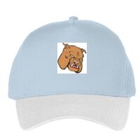 Classic 5-panel snapback (6007) Vignette