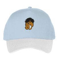 Classic 5-panel snapback (6007) Vignette