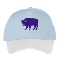 Classic 5-panel snapback (6007) Vignette