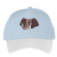 Classic 5-panel snapback (6007) Vignette