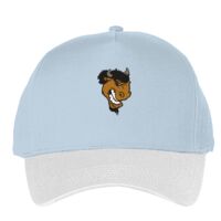 Classic 5-panel snapback (6007) Vignette