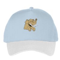 Classic 5-panel snapback (6007) Vignette