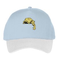 Classic 5-panel snapback (6007) Vignette