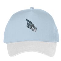 Classic 5-panel snapback (6007) Vignette