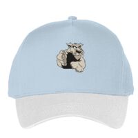 Classic 5-panel snapback (6007) Vignette