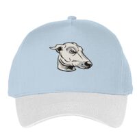 Classic 5-panel snapback (6007) Vignette