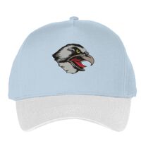 Classic 5-panel snapback (6007) Vignette