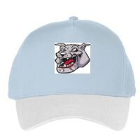 Classic 5-panel snapback (6007) Vignette